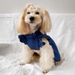 Denim Dog Dress with Ruffles and Button Detail