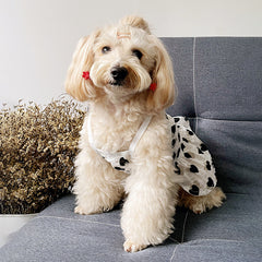 Soft Denim Dog Harness Outfit for Small Pets