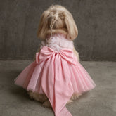 Soft Denim Dog Harness Outfit for Small Pets