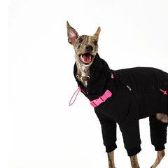 Pet four-legged thermal clothing for a Greyhound-like hunting dog body type