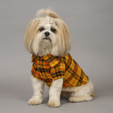 Dog Dress Cute Princess Lapel Top