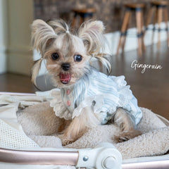 French lace-patterned pet dress