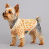 Dress for Dog Winter Plaid Two Legs Sweater