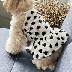 Soft Denim Dog Harness Outfit for Small Pets