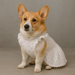 White Cherry Print Dog Dress with Lace Trim