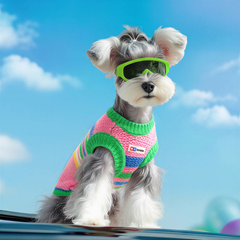 Striped Dog Shirt with Collar and Leash Ring