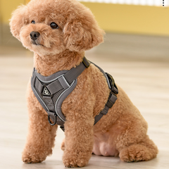 Dog Vest Small Pet Rope