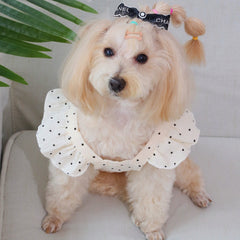 Polka Dot Dog Dress with Black Bows