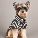Dog Shirts Temperament Striped Cool Top Is Only $9.9
