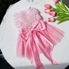 Soft Denim Dog Harness Outfit for Small Pets