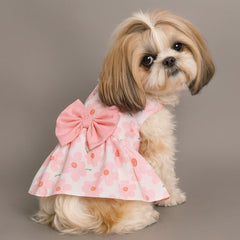 Dog in Dress Small Dog Floral Print Princess