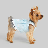 Dress of Dog Summer Small Pet Cat Skirt