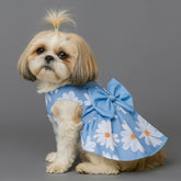 Dog Dresses Cowboy Princess