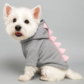Dog Hoodie Spring Autumn Pet Two-legged Clothes With Hat