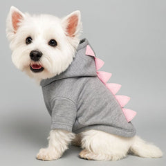 Dog Hoodie Spring Autumn Pet Two-legged Clothes With Hat