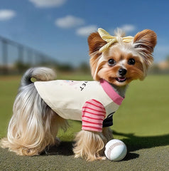 Striped Dog Shirt with Collar and Leash Ring