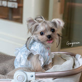 French lace-patterned pet dress