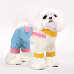 Striped Dog Shirt with Collar and Leash Ring