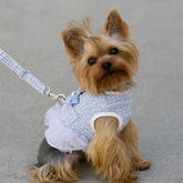 Dog Christmas Dress Chest Back Spring New Dog Harness Traction