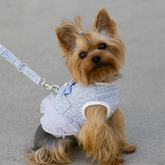 Dog Christmas Dress Chest Back Spring New Dog Harness Traction