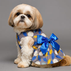 Dog Dresses Lady Print Streamers Skirt