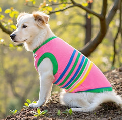 Striped Dog Shirt with Collar and Leash Ring