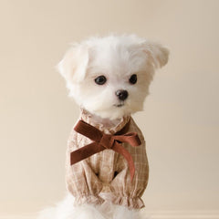 Patterned bow-shaped pet shirt dress
