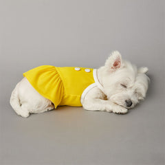 Small Yellow Button Dog in Dress