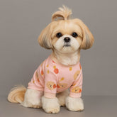 Dog Shirts Yorkshire terrier small puppy winter clothes