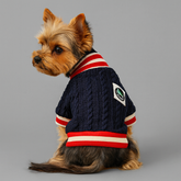 Dog Dresses College JK Autumn Dog Sweater