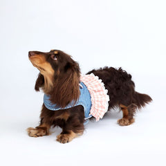 Pet cowboy-style chest and back harness