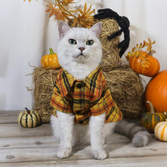 Dog Dress Cute Princess Lapel Top