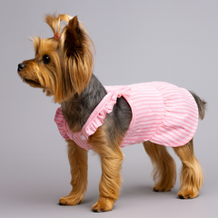 Dog Dress Cute Drag Striped Teddy Bichon Top