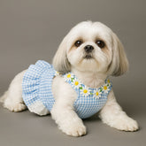 Dog Dresses Summer Small Pet Thin Vest Skirt