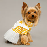 Dress of Dog Spring Cute Lace Stripe Pet Tops