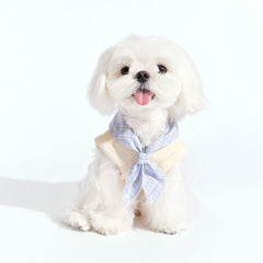 College-themed Furgo Pet Cartoon Vest