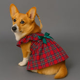 Dog Dress Cute Princess Lapel Top