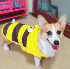 Dog Hoodie Pet Waterproof Stripes Raincoat