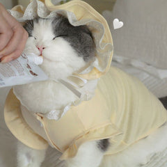 Cute pet Lolita-style creamy yellow ensemble