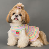 Dog Shirts Cute Lace Color Cat Stripe Skirt Vest