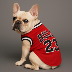 Dog Shirts Pet Fashion Sweatshirt Campus Style Velvet Warm Sweatshirt Is Only $9.9