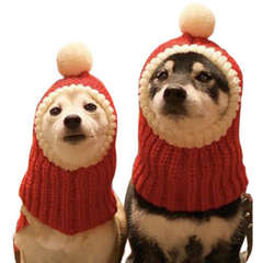 Dog Hoodie Pat Hat Christmas