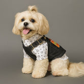 Cute Denim Overall Dog Outfit with Star Print Shirt