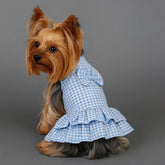 Dress of Dog Summer Pet Small Skirt Vest