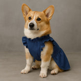 Denim Dog Dress with Ruffles and Button Detail