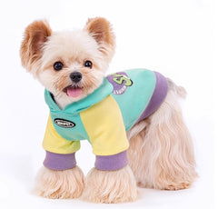 Striped Dog Shirt with Collar and Leash Ring