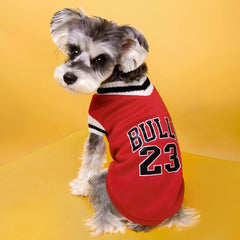 Dog Shirts Pet Fashion Sweatshirt Campus Style Velvet Warm Sweatshirt Is Only $9.9