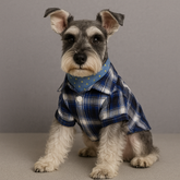 Dress of Dog Pet Plaid Shirts