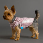 Dog Shirts Summer Pet Small Skirt