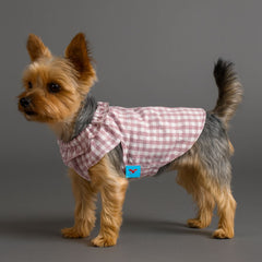 Dog Shirts Summer Pet Small Skirt